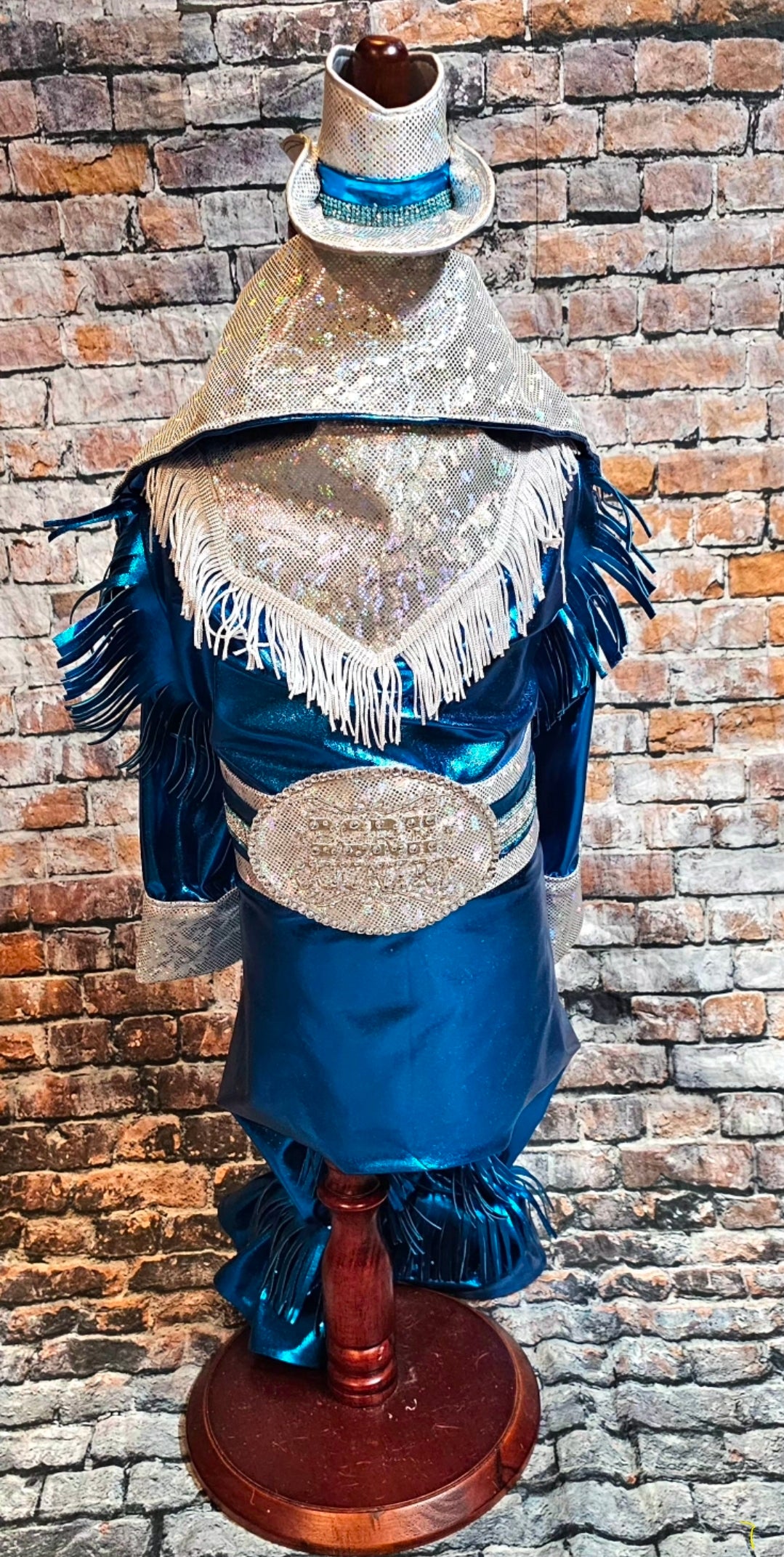 Metallic fringe country western pet body suit costume, fringe rhinestone pet costume, Rhinestone cowboy pet body suit