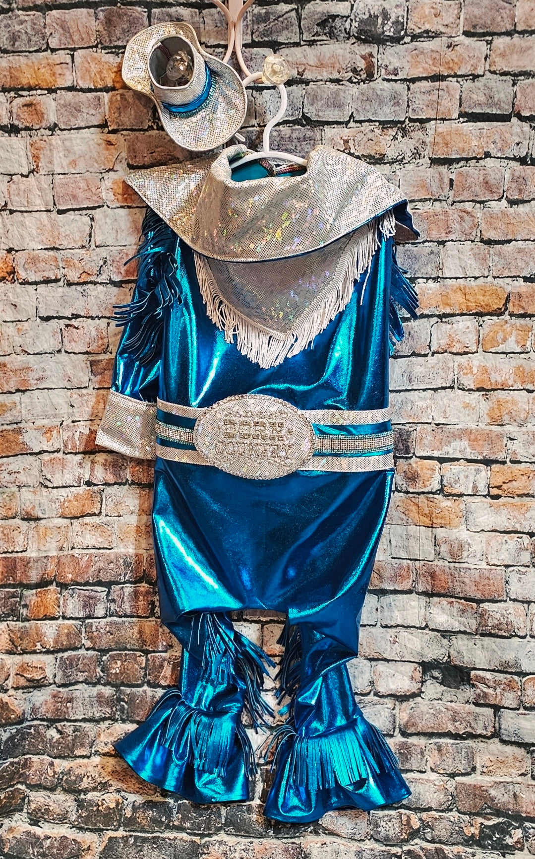 Metallic fringe country western pet body suit costume, fringe rhinestone pet costume, Rhinestone cowboy pet body suit