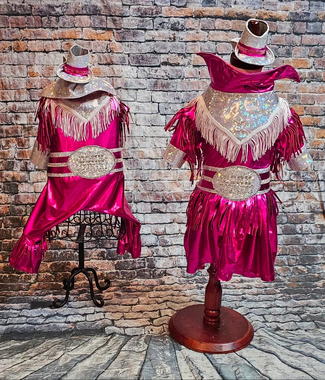 Metallic fringe country western pet body suit costume, fringe rhinestone pet costume, Rhinestone cowboy pet body suit