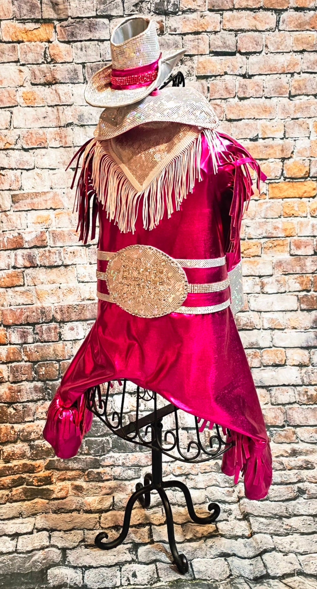 Metallic fringe country western pet body suit costume, fringe rhinestone pet costume, Rhinestone cowboy pet body suit
