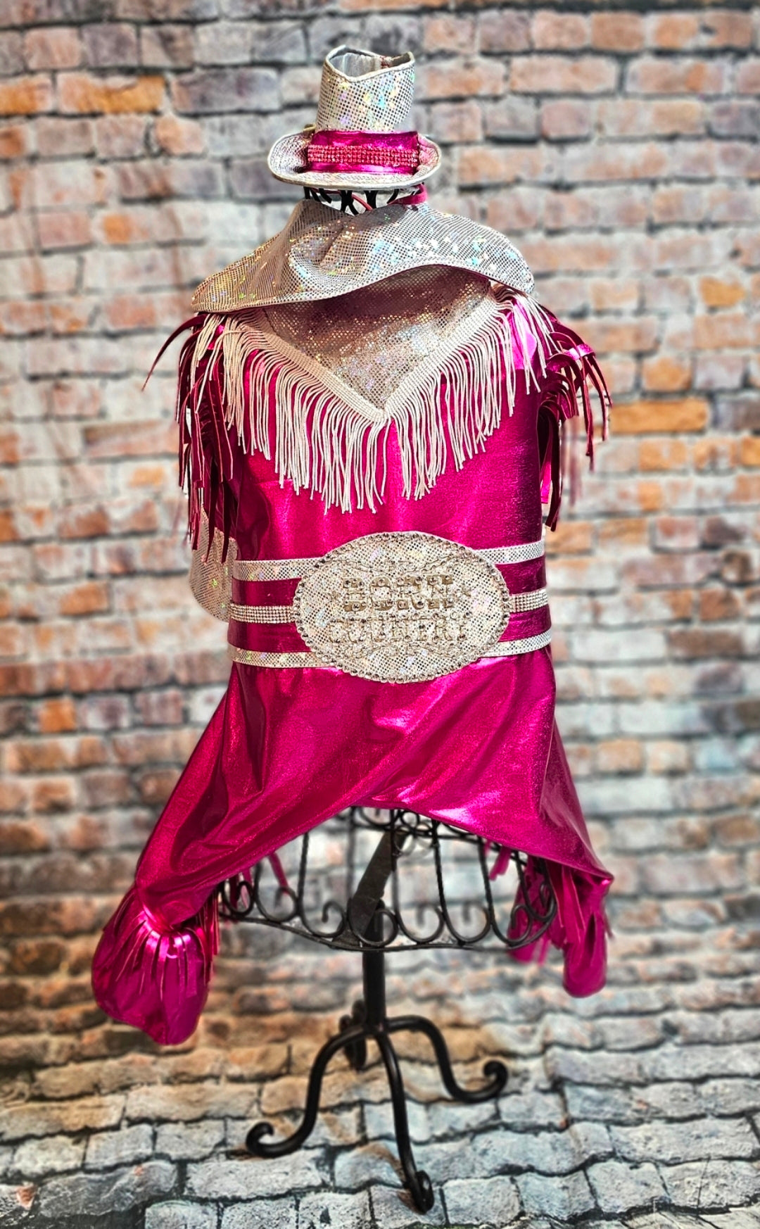 Metallic fringe country western pet body suit costume, fringe rhinestone pet costume, Rhinestone cowboy pet body suit