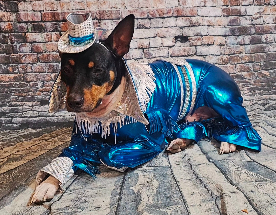 Metallic fringe country western pet body suit costume, fringe rhinestone pet costume, Rhinestone cowboy pet body suit