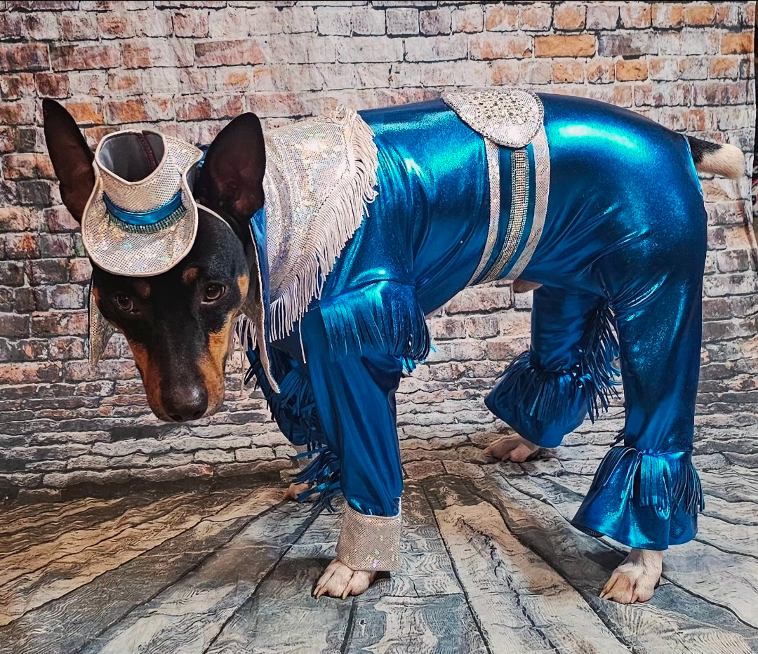Metallic fringe country western pet body suit costume, fringe rhinestone pet costume, Rhinestone cowboy pet body suit