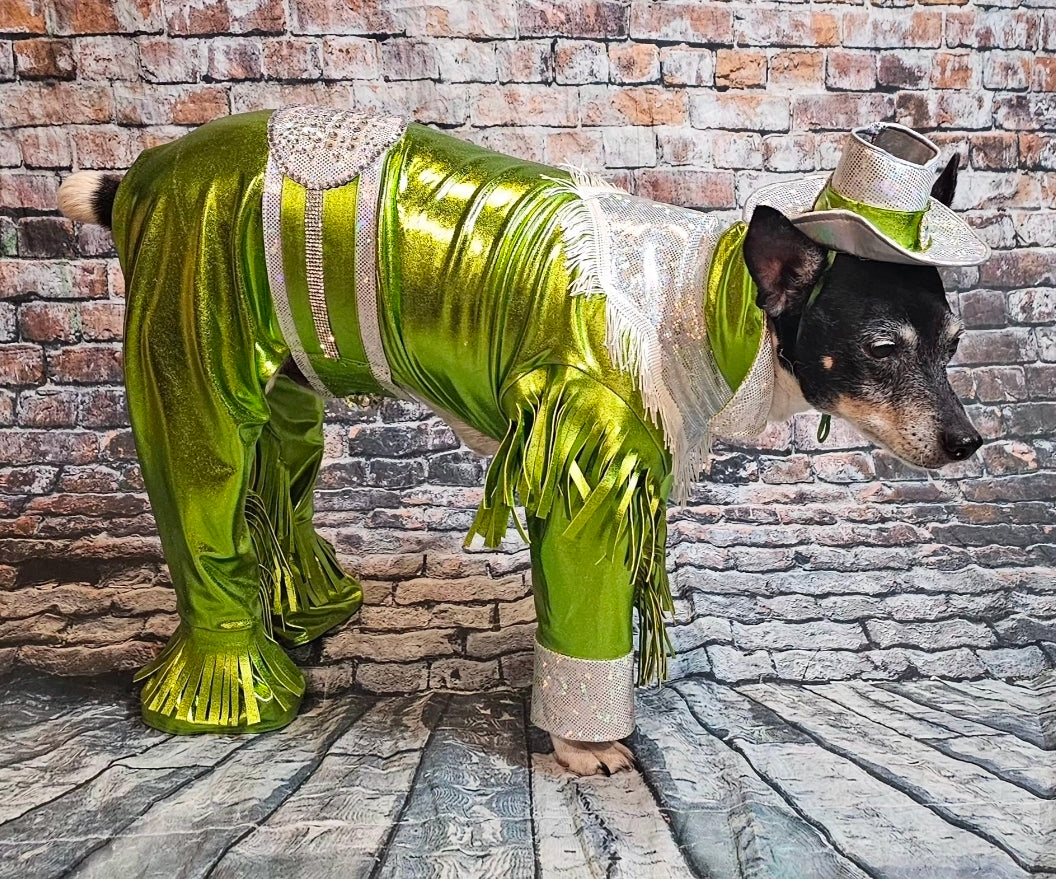 Metallic fringe country western pet body suit costume, fringe rhinestone pet costume, Rhinestone cowboy pet body suit