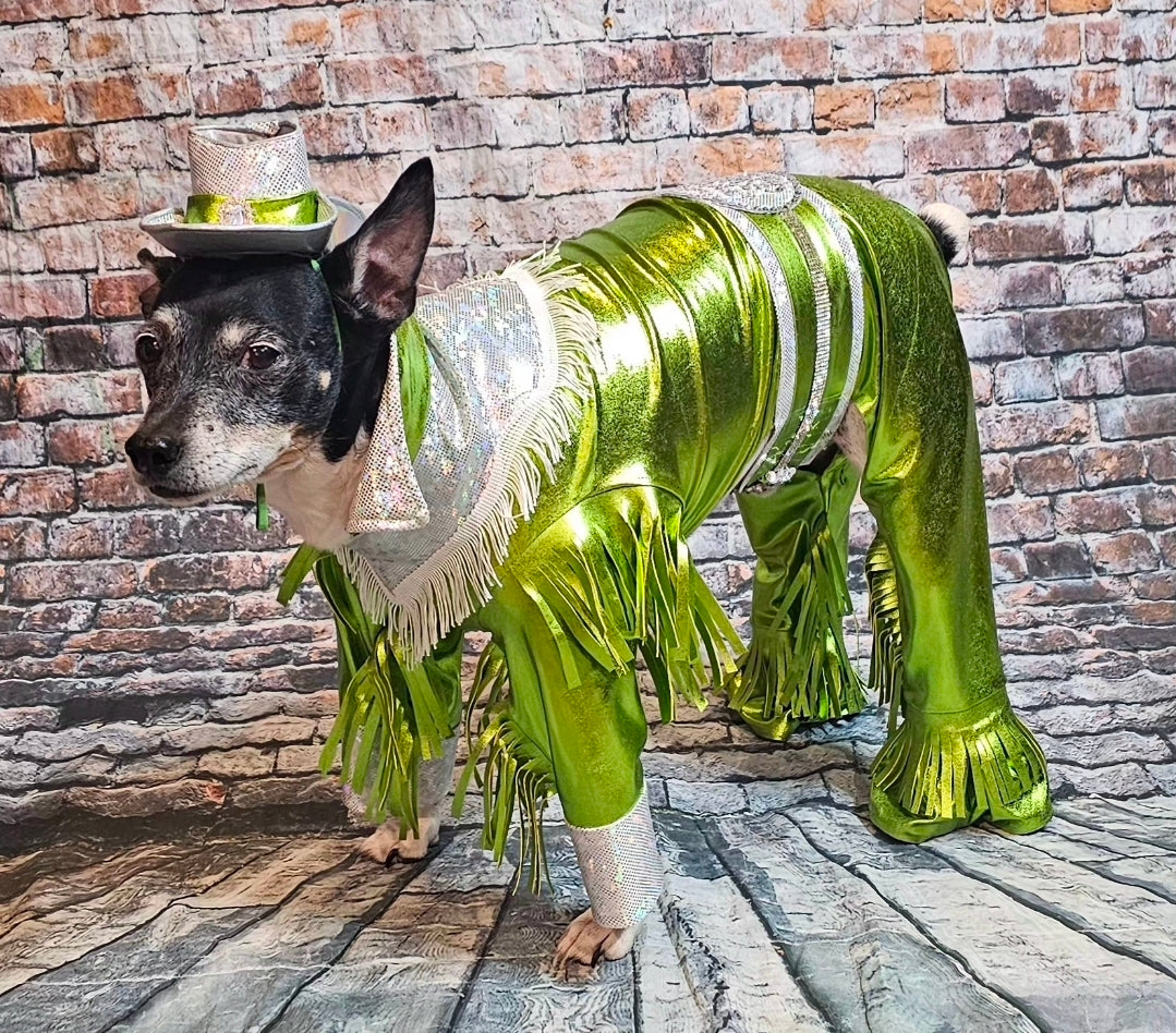 Metallic fringe country western pet body suit costume, fringe rhinestone pet costume, Rhinestone cowboy pet body suit
