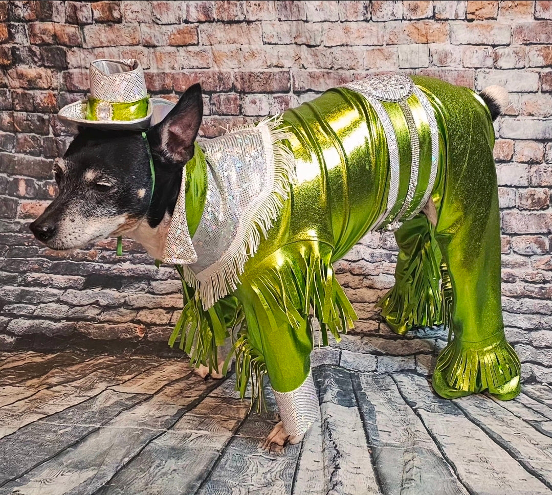 Metallic fringe country western pet body suit costume, fringe rhinestone pet costume, Rhinestone cowboy pet body suit