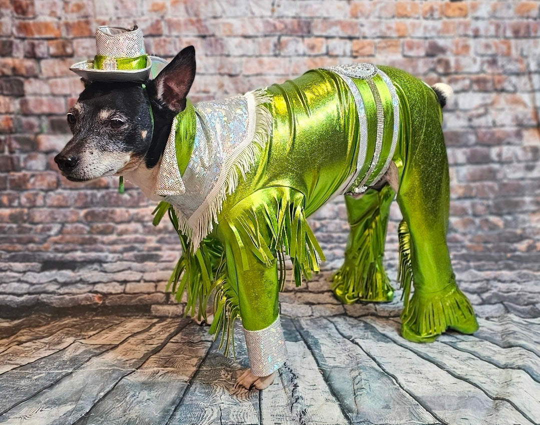 Metallic fringe country western pet body suit costume, fringe rhinestone pet costume, Rhinestone cowboy pet body suit