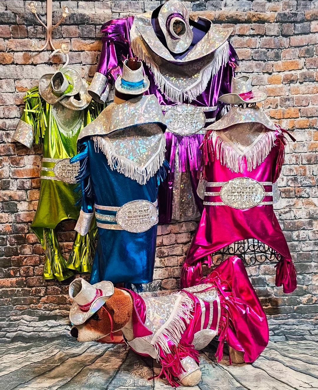 Metallic fringe country western pet dress costume, Rhinestone cowgirl fringe pet dress costume