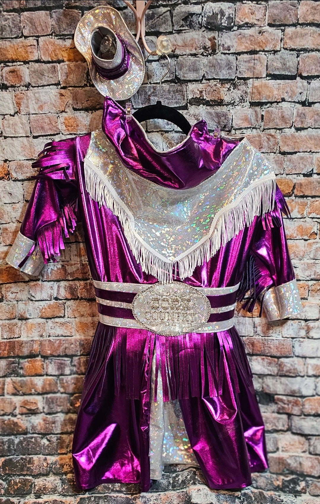 Metallic fringe country western pet dress costume, Rhinestone cowgirl fringe pet dress costume