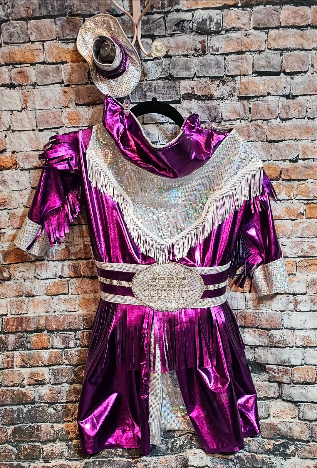 Metallic fringe country western pet dress costume, Rhinestone cowgirl fringe pet dress costume