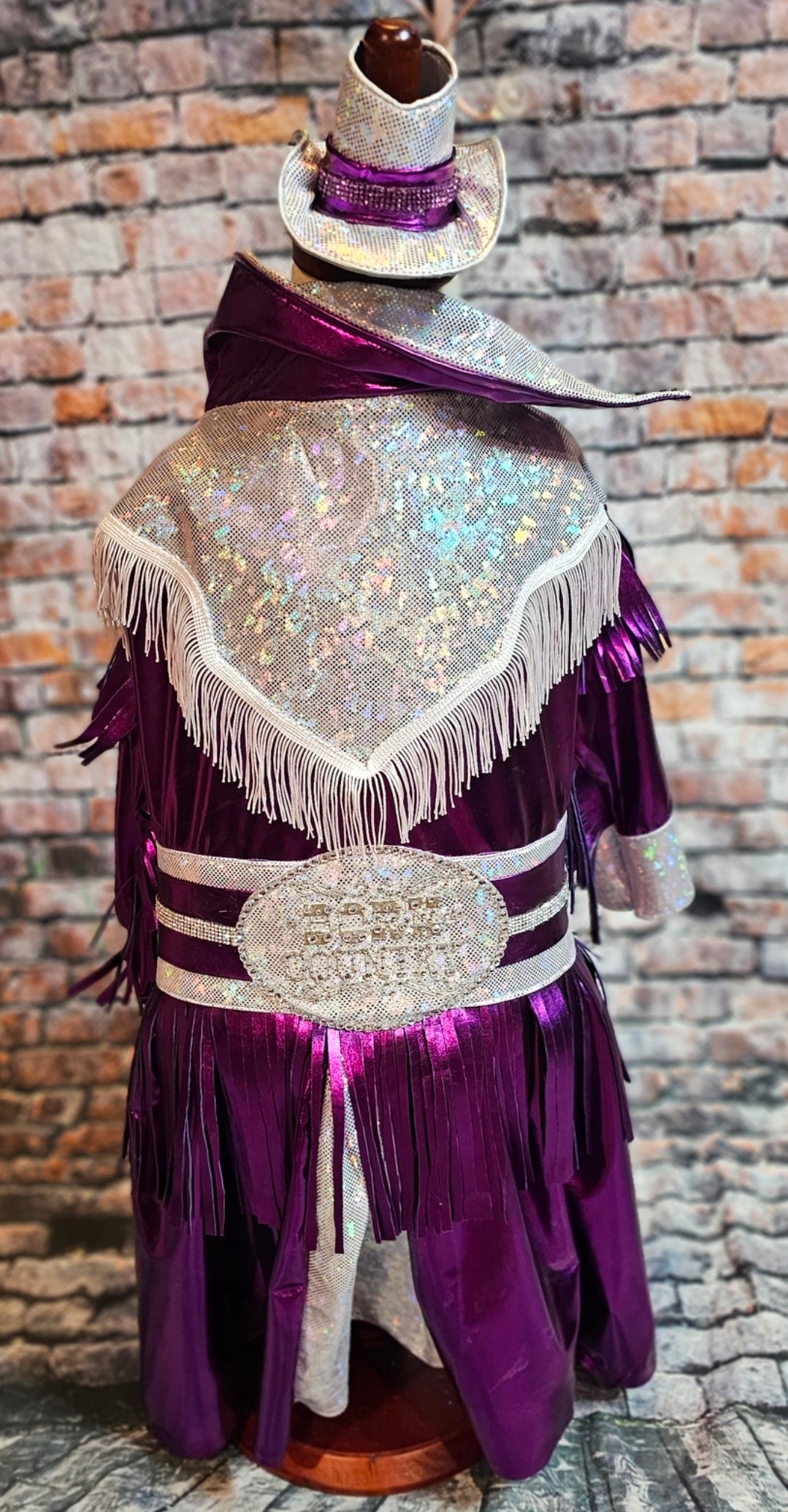 Metallic fringe country western pet dress costume, Rhinestone cowgirl fringe pet dress costume