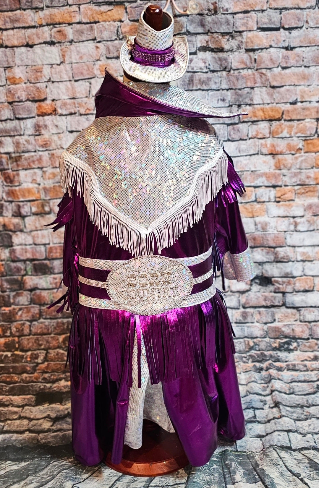 Metallic fringe country western pet dress costume, Rhinestone cowgirl fringe pet dress costume