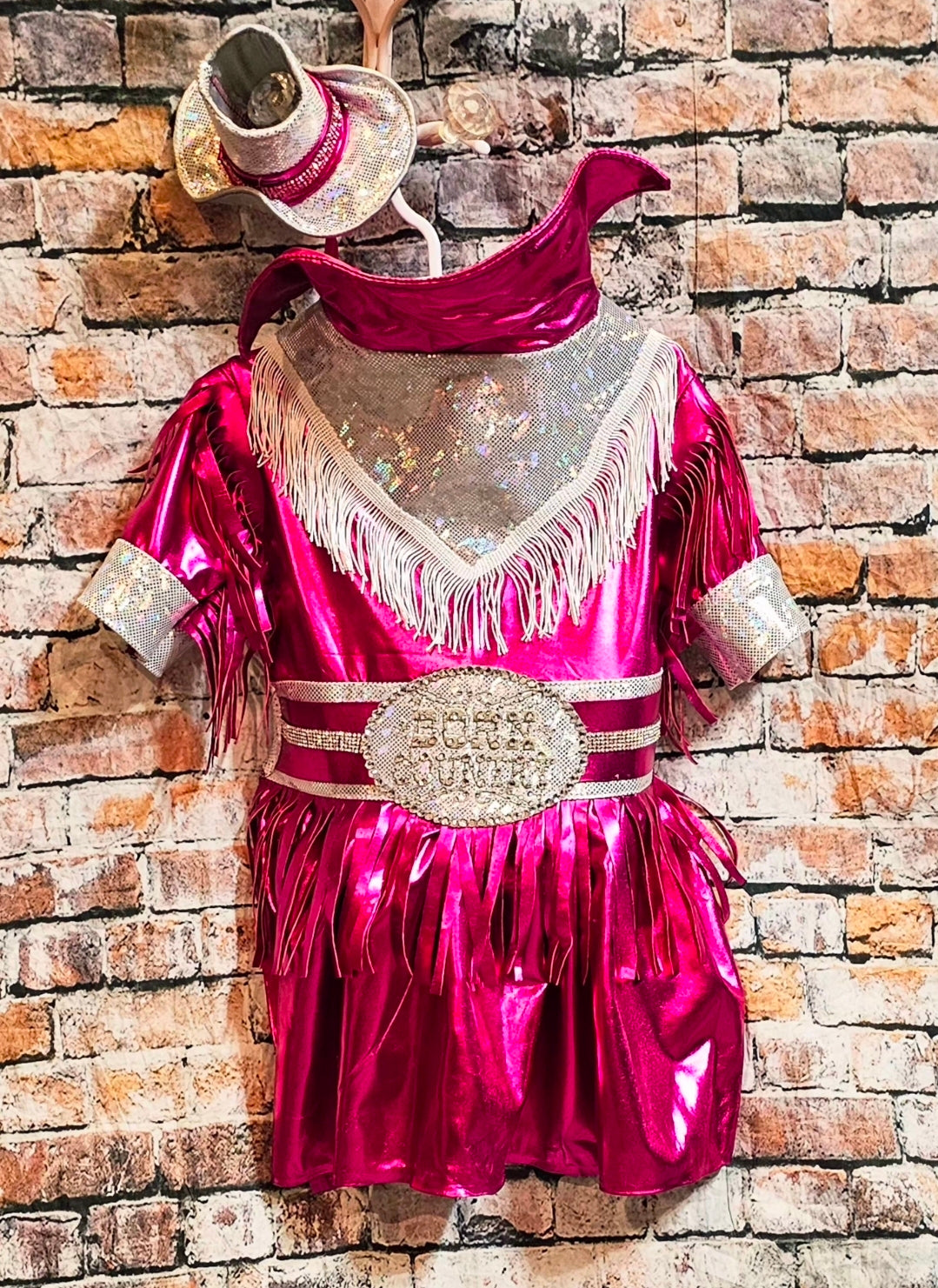 Metallic fringe country western pet dress costume, Rhinestone cowgirl fringe pet dress costume