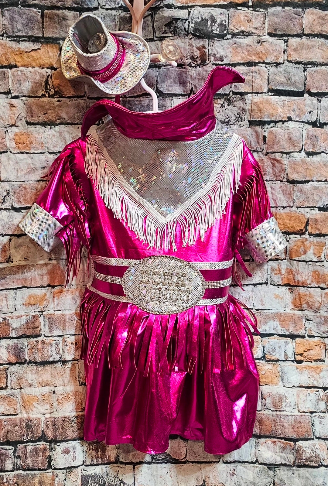 Metallic fringe country western pet dress costume, Rhinestone cowgirl fringe pet dress costume