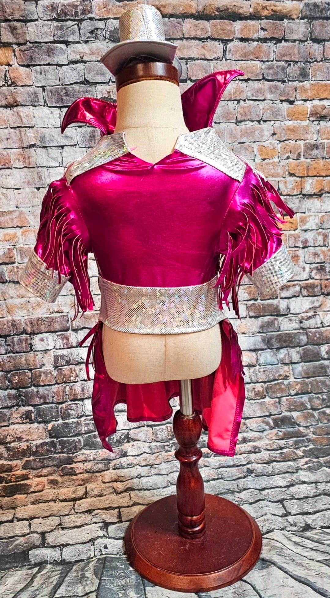 Metallic fringe country western pet dress costume, Rhinestone cowgirl fringe pet dress costume