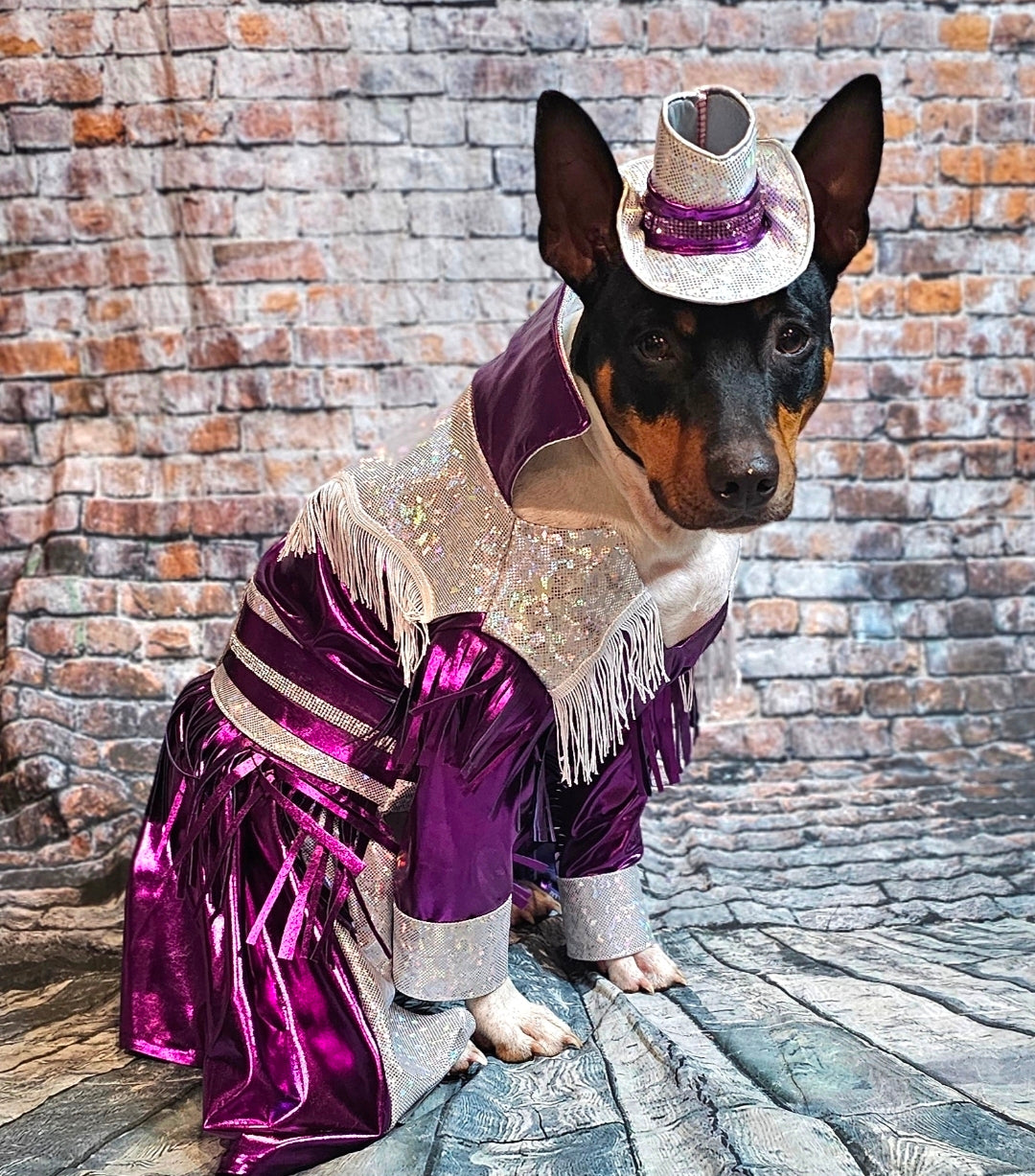 Metallic fringe country western pet dress costume, Rhinestone cowgirl fringe pet dress costume