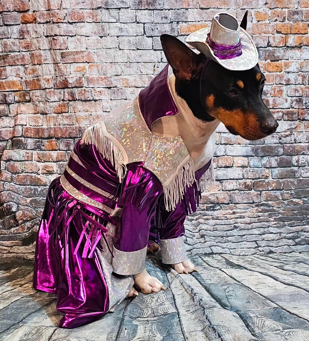 Metallic fringe country western pet dress costume, Rhinestone cowgirl fringe pet dress costume