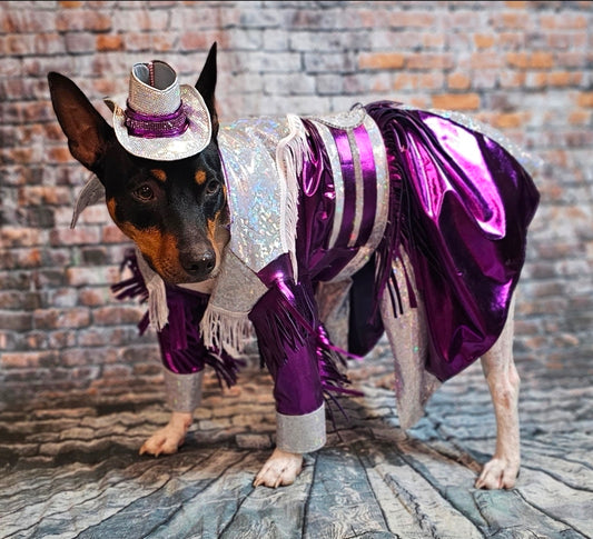 Metallic fringe country western pet dress costume, Rhinestone cowgirl fringe pet dress costume
