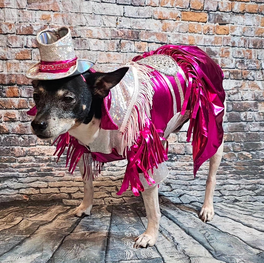 Metallic fringe country western pet dress costume, Rhinestone cowgirl fringe pet dress costume