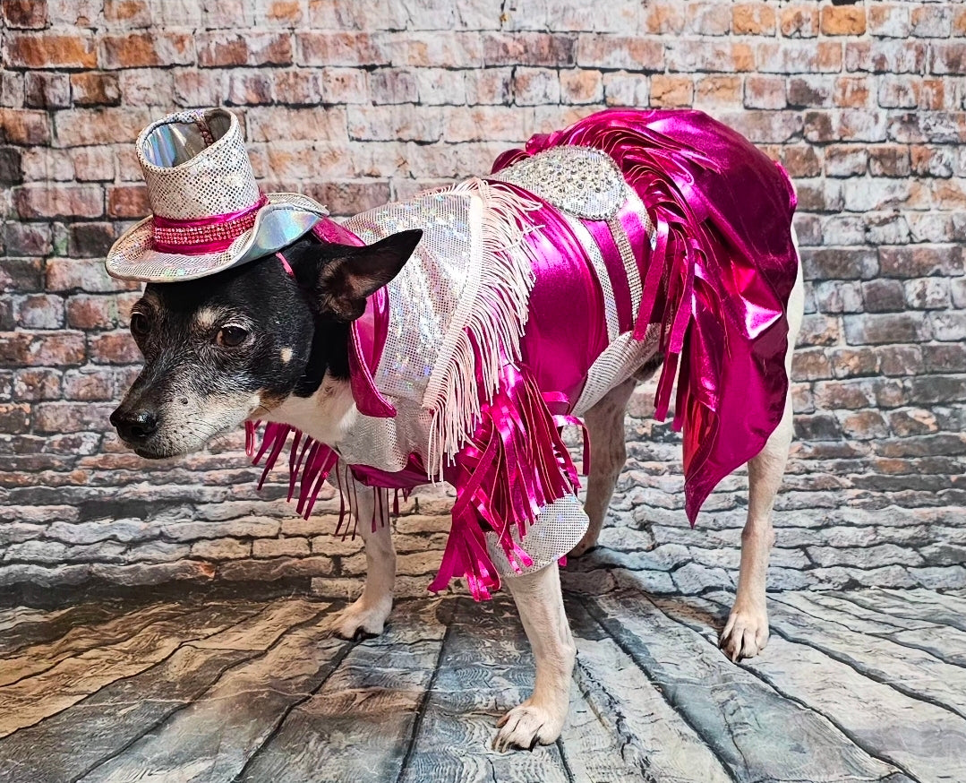 Metallic fringe country western pet dress costume, Rhinestone cowgirl fringe pet dress costume