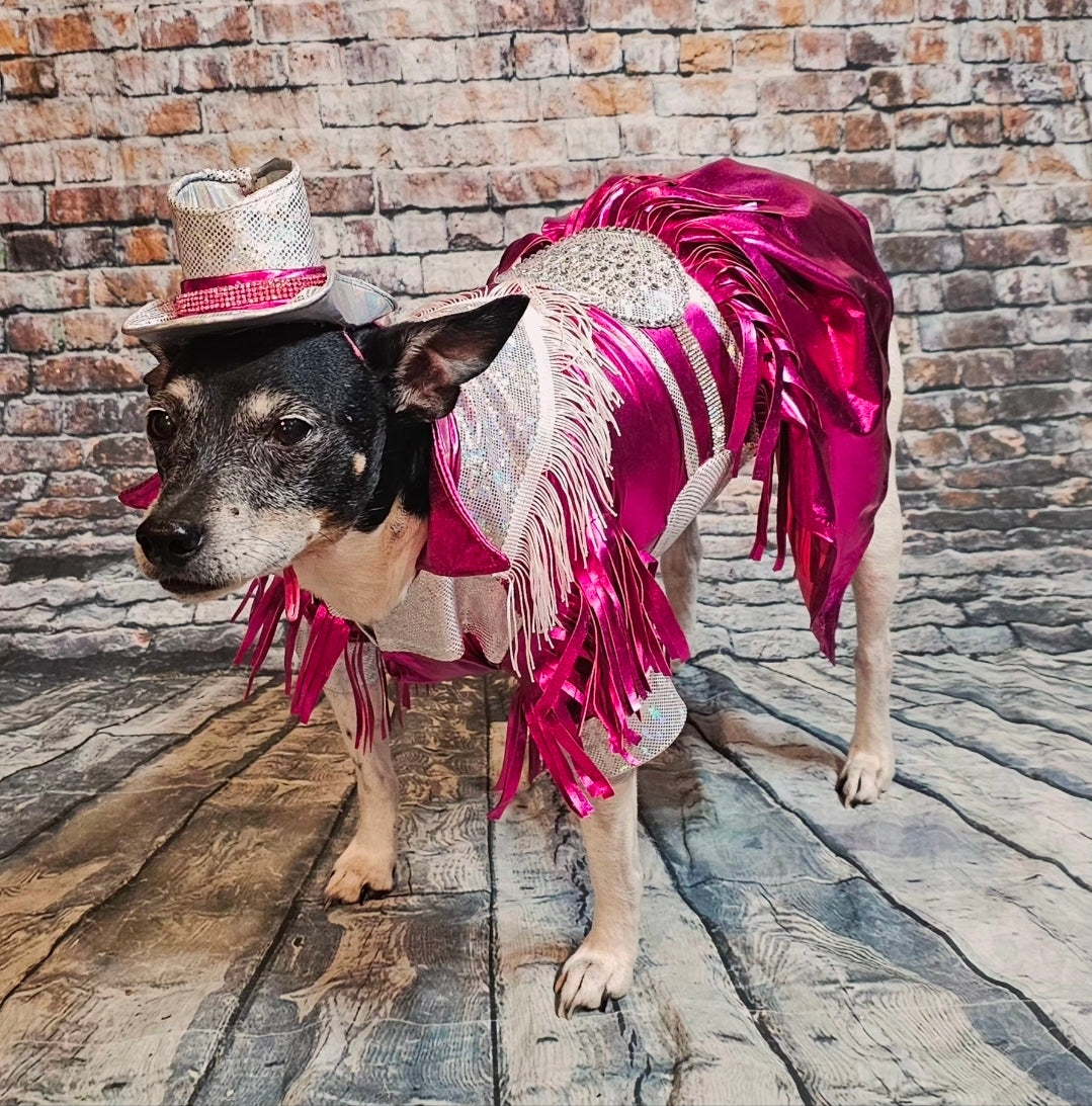 Metallic fringe country western pet dress costume, Rhinestone cowgirl fringe pet dress costume