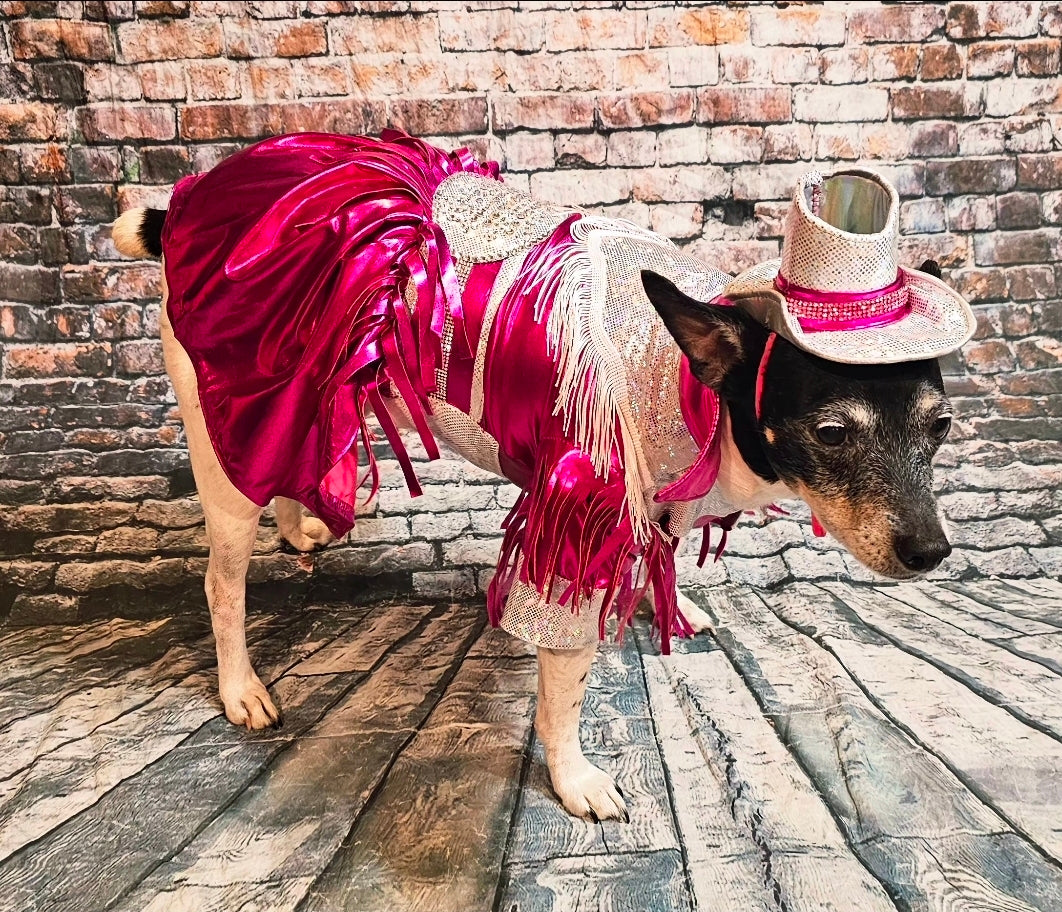 Metallic fringe country western pet dress costume, Rhinestone cowgirl fringe pet dress costume