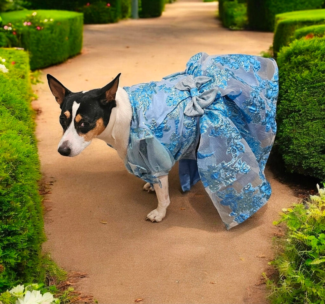 Brocade flower pet dress, Bridgerton inspired pet dress