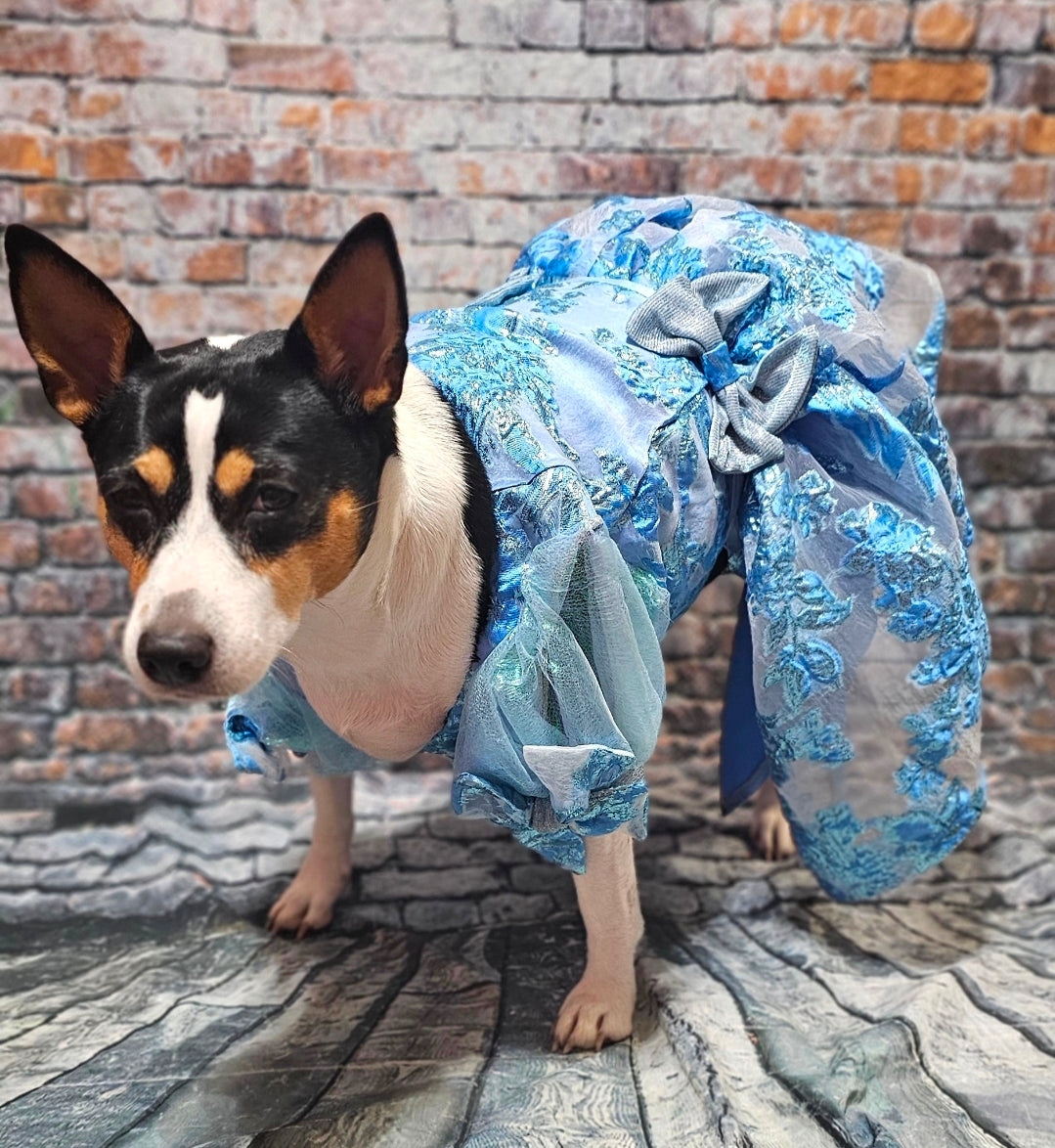 Brocade flower pet dress, Bridgerton inspired pet dress