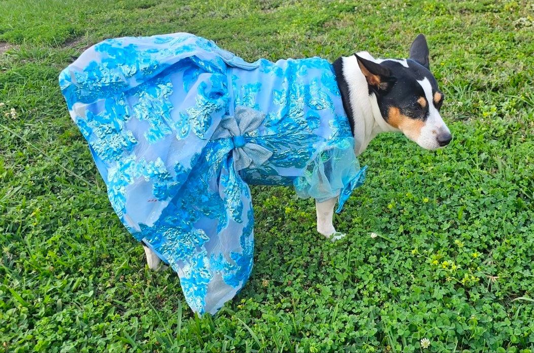 Brocade flower pet dress, Bridgerton inspired pet dress