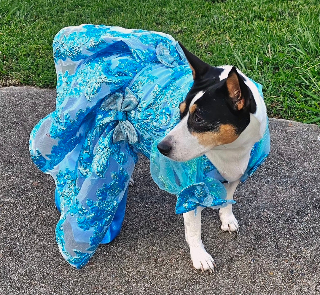 Brocade flower pet dress, Bridgerton inspired pet dress