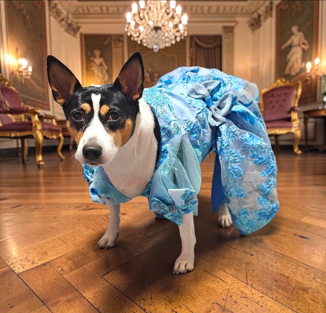 Brocade flower pet dress, Bridgerton inspired pet dress