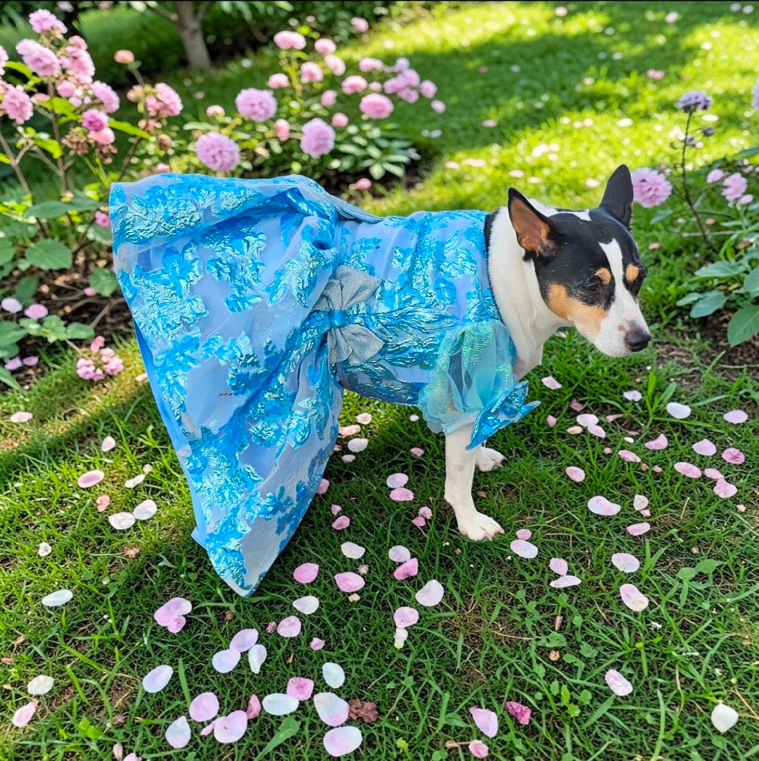 Brocade flower pet dress, Bridgerton inspired pet dress