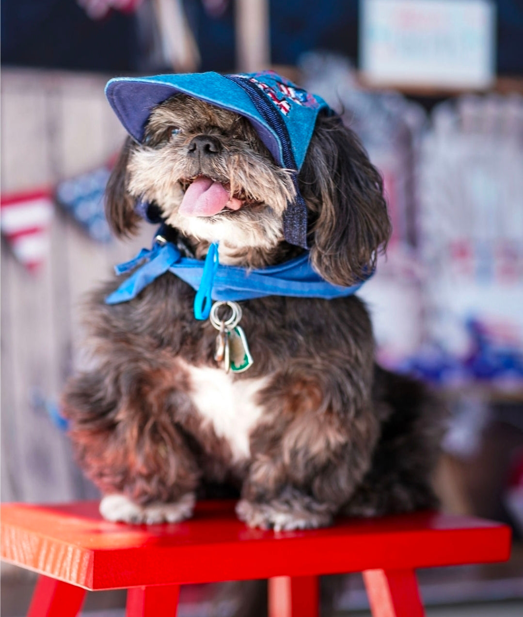 Patriotic Blue Jean pet hat, personalized pet hat, blue jean USA pet hat