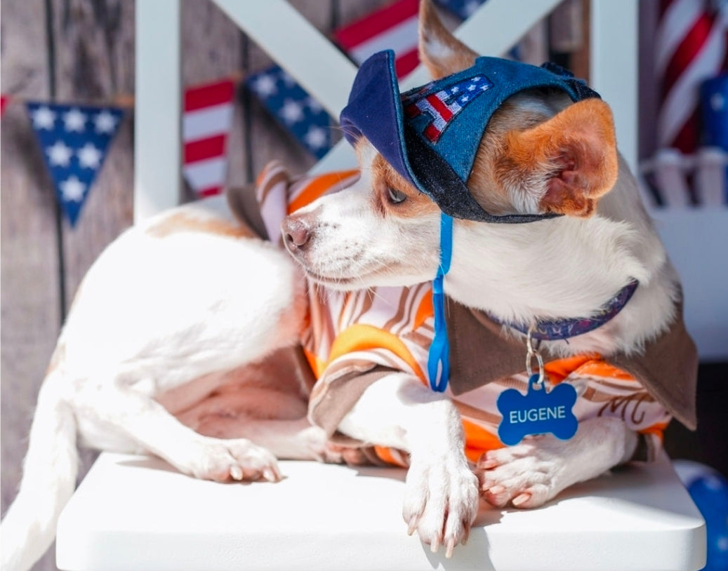 Patriotic Blue Jean pet hat, personalized pet hat, blue jean USA pet hat
