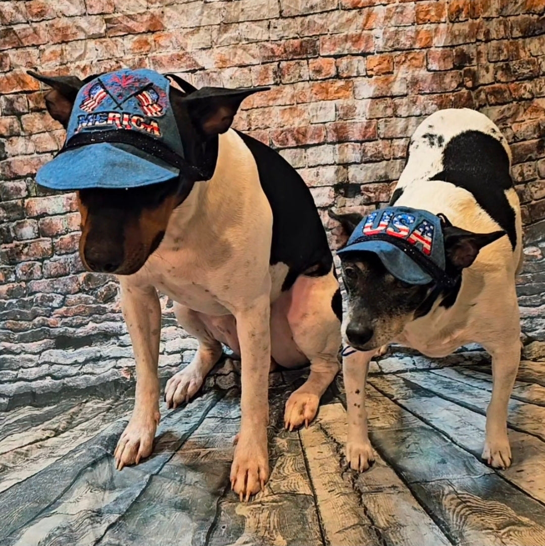 Patriotic Blue Jean pet hat, personalized pet hat, blue jean USA pet hat