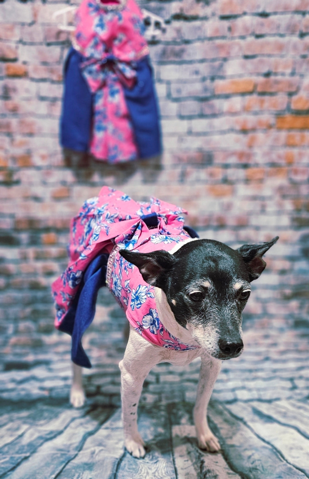 Flower blue jean pet dress, Pink flower pet dress