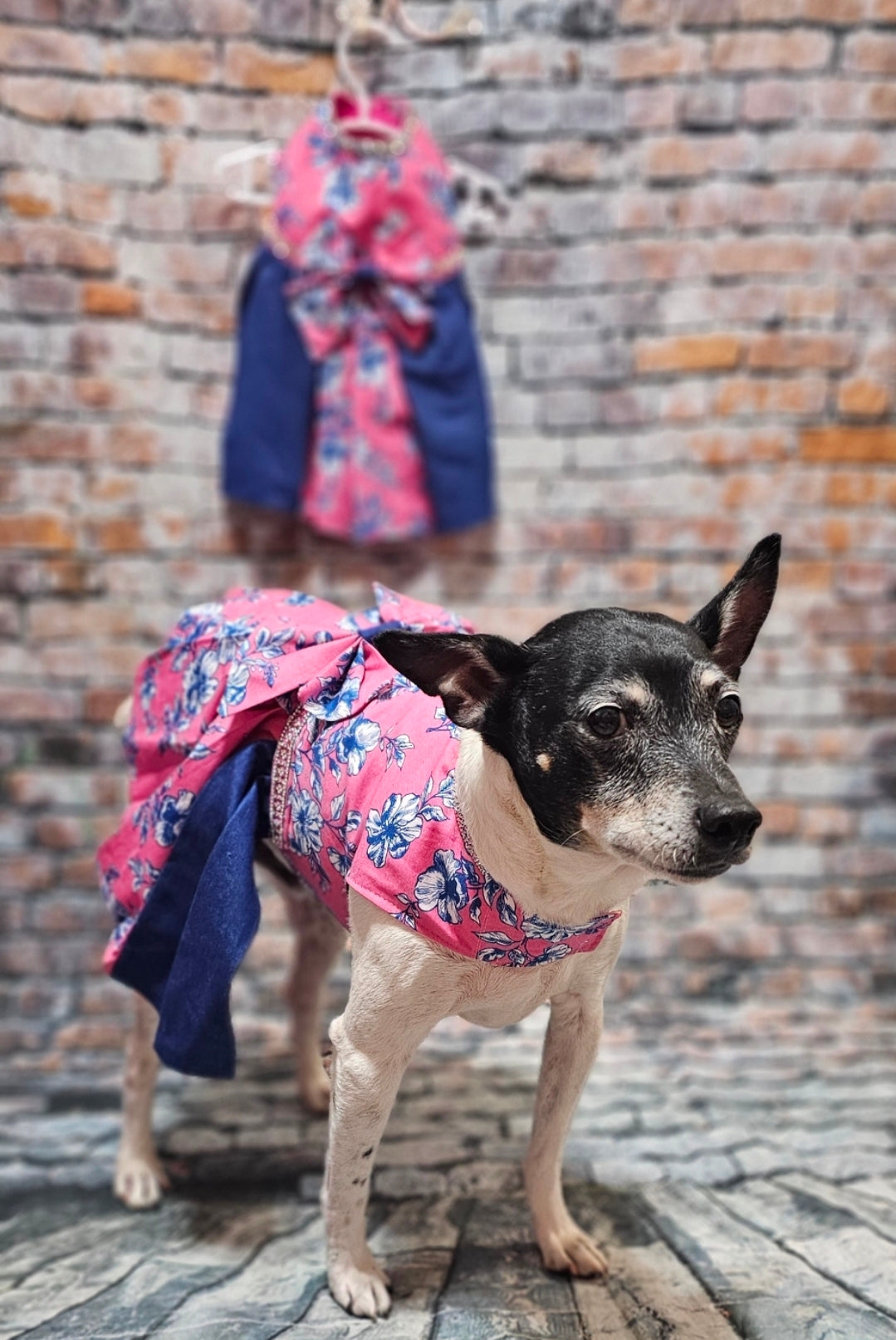 Flower blue jean pet dress, Pink flower pet dress