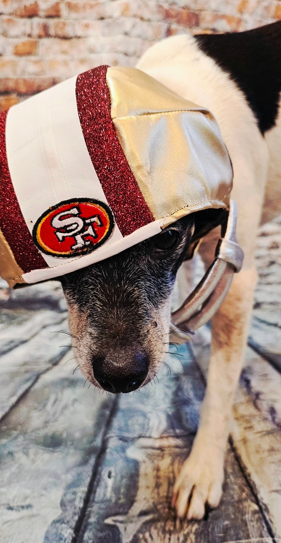 Football pet helmet, custom helmet for pets, nfl inspired football helmet