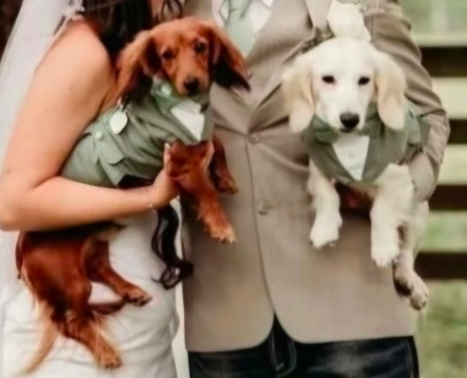 Pet wedding tuxedo costume, vest and bow-tie bandana set for pets