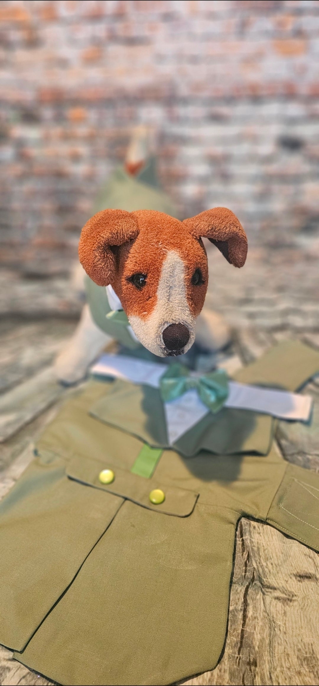 Pet wedding tuxedo costume, vest and bow-tie bandana set for pets
