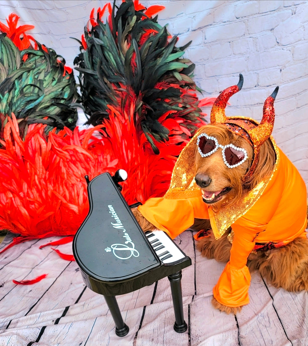 Elton John Rocketman Orange Devil Pet Costume, Elton John Rocketman bejeweled "Devil" pet dog cat costume, Orange Devil pet costume