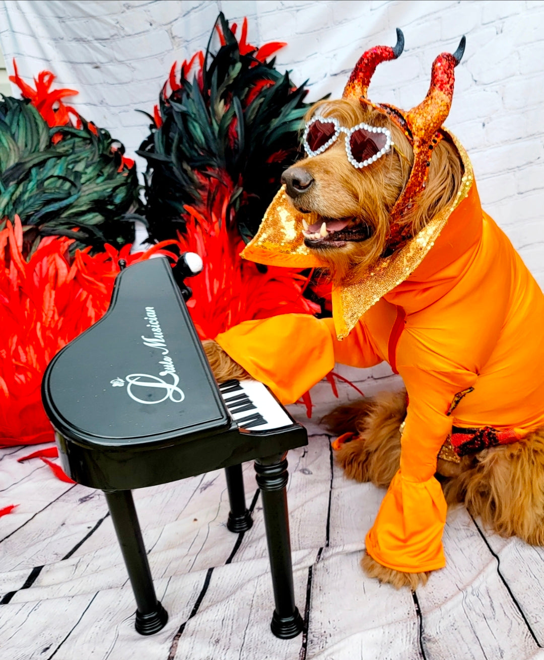 Elton John Rocketman Orange Devil Pet Costume, Elton John Rocketman bejeweled "Devil" pet dog cat costume, Orange Devil pet costume