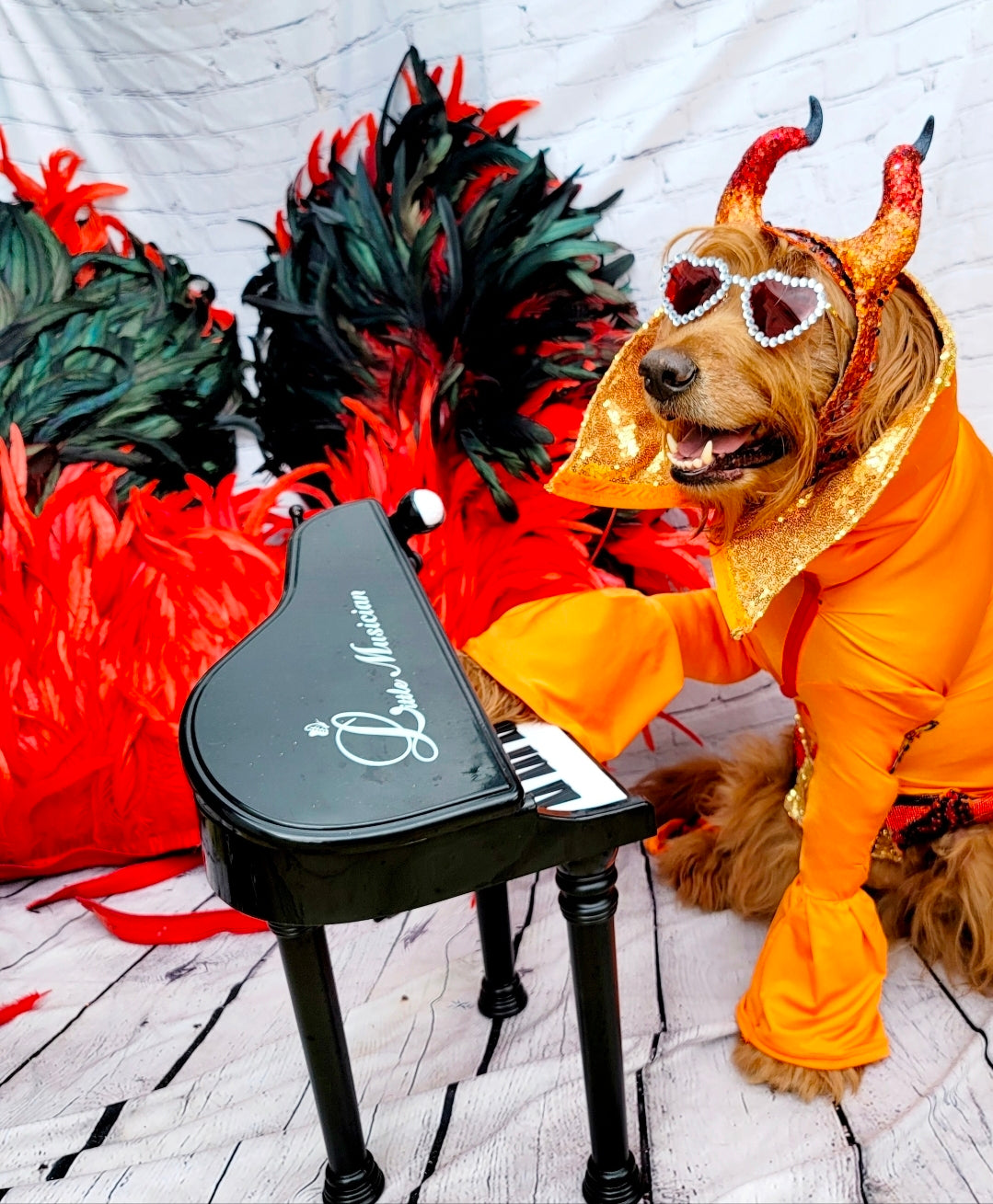 Elton John Rocketman Orange Devil Pet Costume, Elton John Rocketman bejeweled "Devil" pet dog cat costume, Orange Devil pet costume