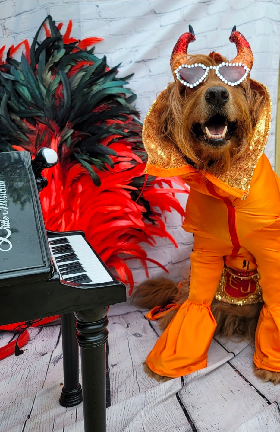 Elton John Rocketman Orange Devil Pet Costume, Elton John Rocketman bejeweled "Devil" pet dog cat costume, Orange Devil pet costume