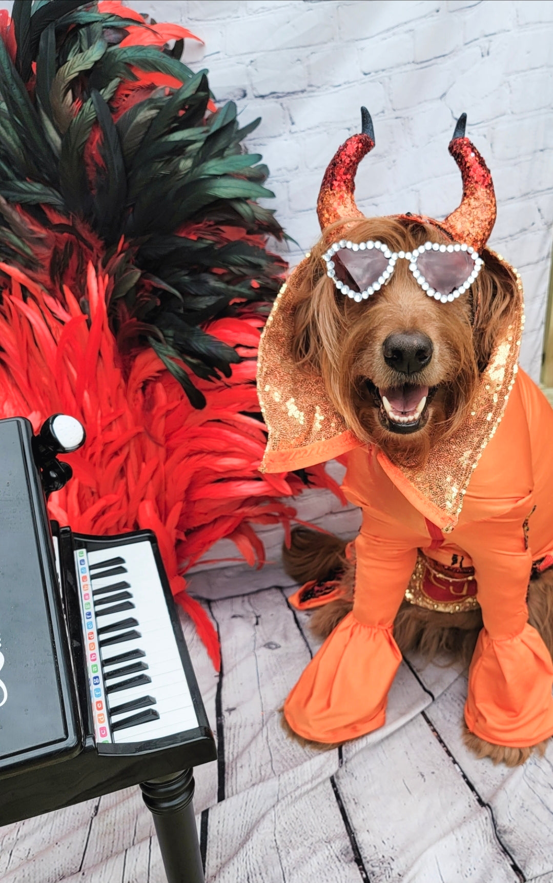 Elton John Rocketman Orange Devil Pet Costume, Elton John Rocketman bejeweled "Devil" pet dog cat costume, Orange Devil pet costume