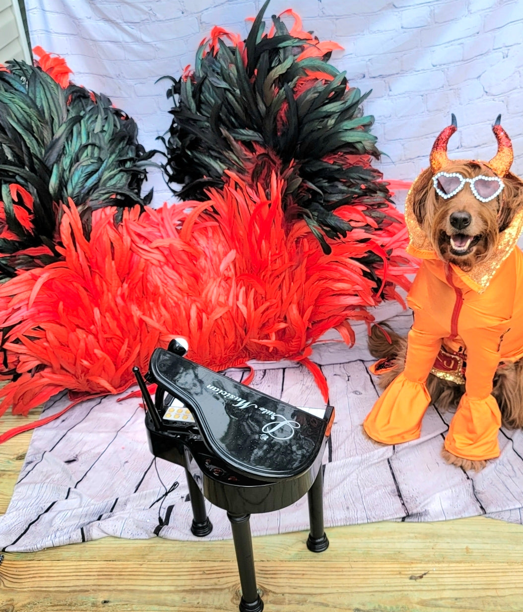 Elton John Rocketman Orange Devil Pet Costume, Elton John Rocketman bejeweled "Devil" pet dog cat costume, Orange Devil pet costume