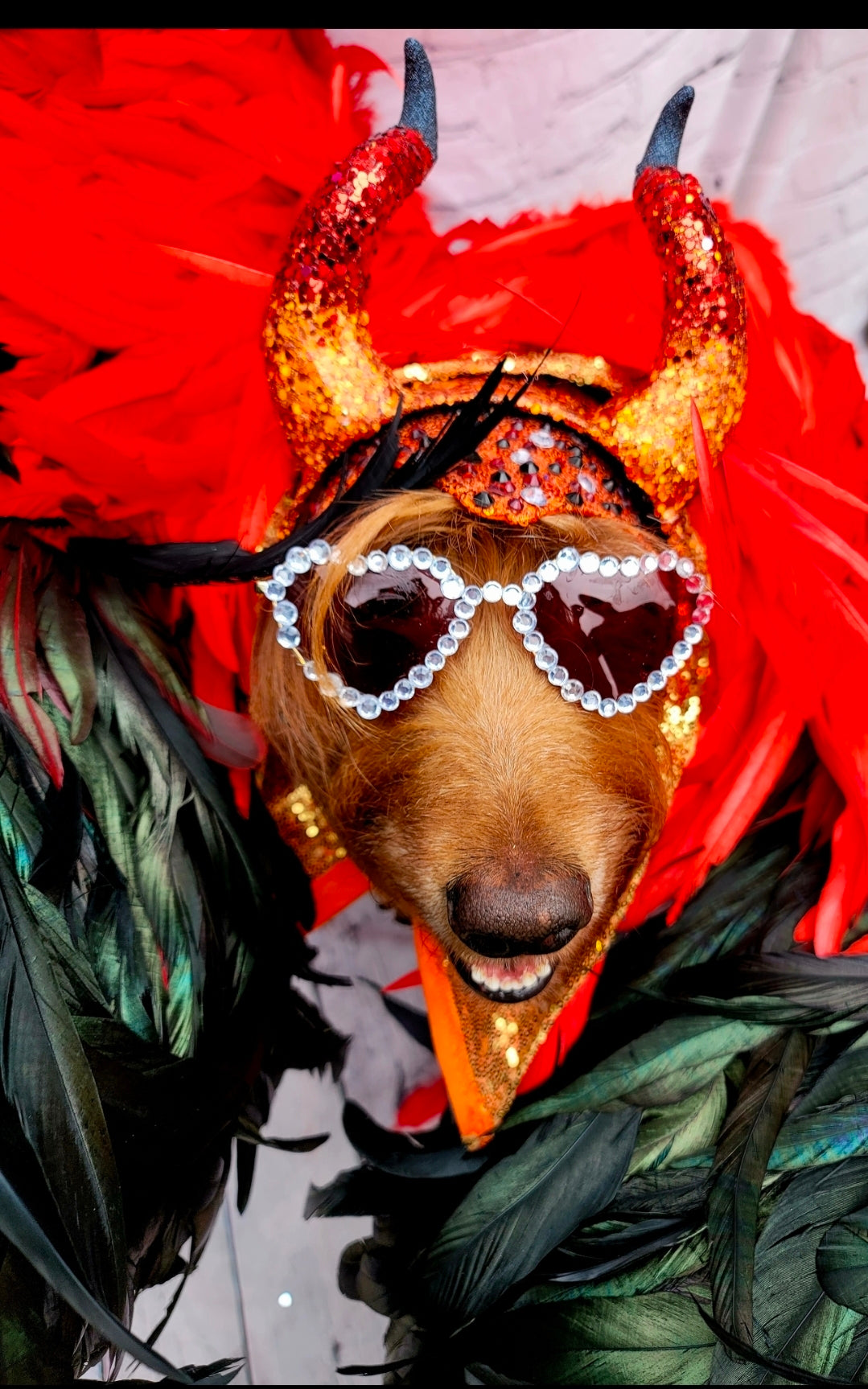 Elton John Rocketman Orange Devil Pet Costume, Elton John Rocketman bejeweled "Devil" pet dog cat costume, Orange Devil pet costume