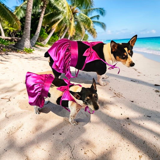 Swimsuit for pets, pet bathing suits, 2-piece pet bathing suit with skirt