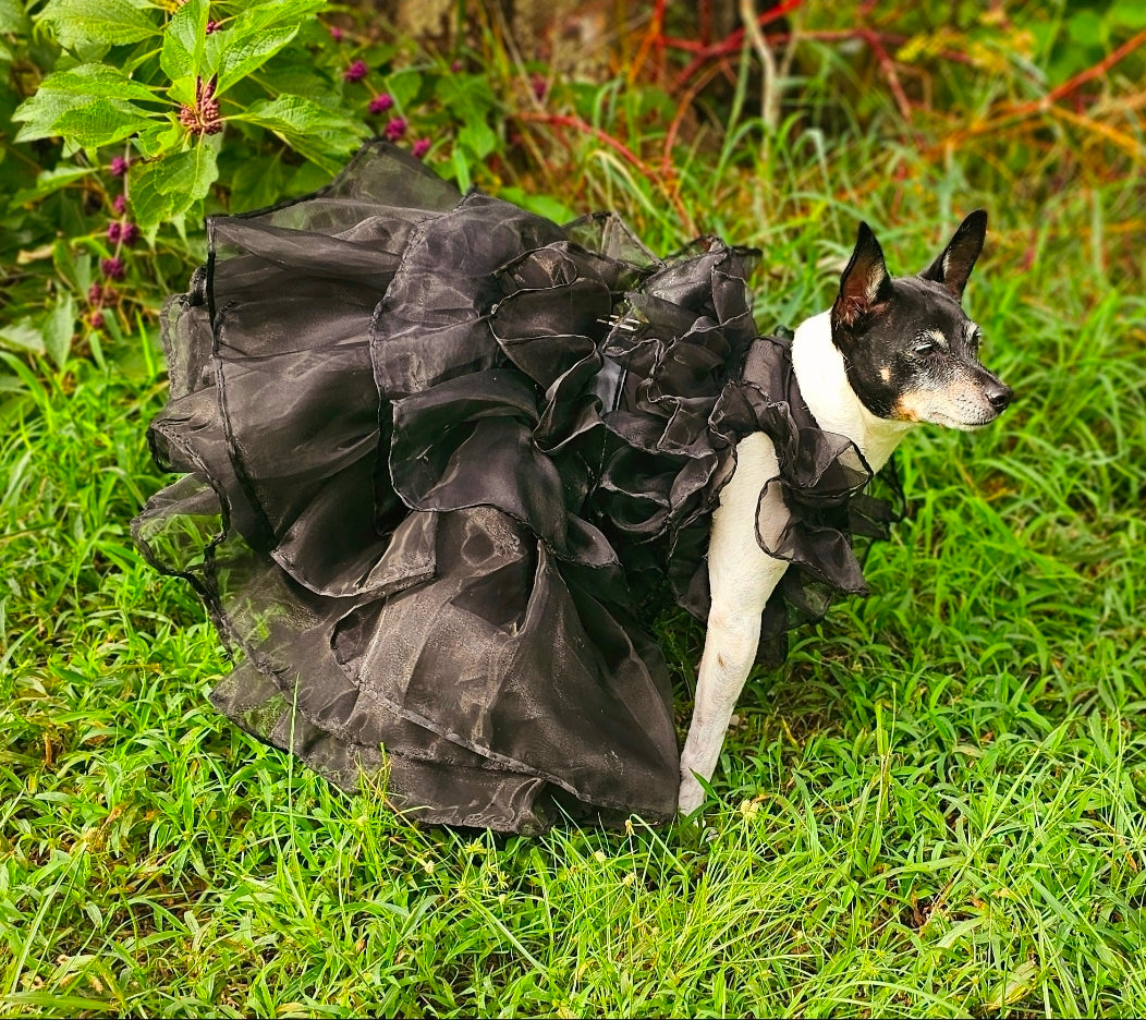 Wednesday Raven Pet Prom dress, Wednesday Pet Costume, Wednesday Raven Dog dress