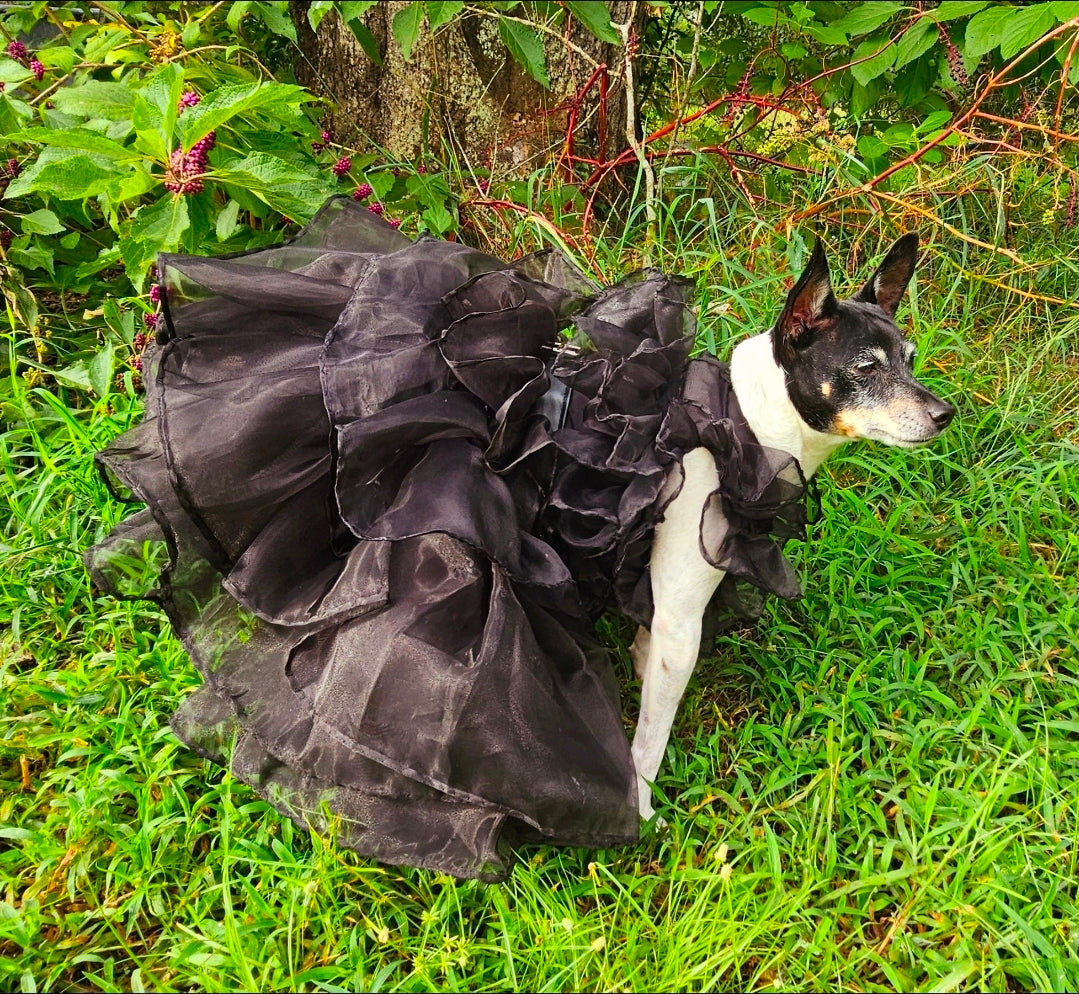 Wednesday Raven Pet Prom dress, Wednesday Pet Costume, Wednesday Raven Dog dress